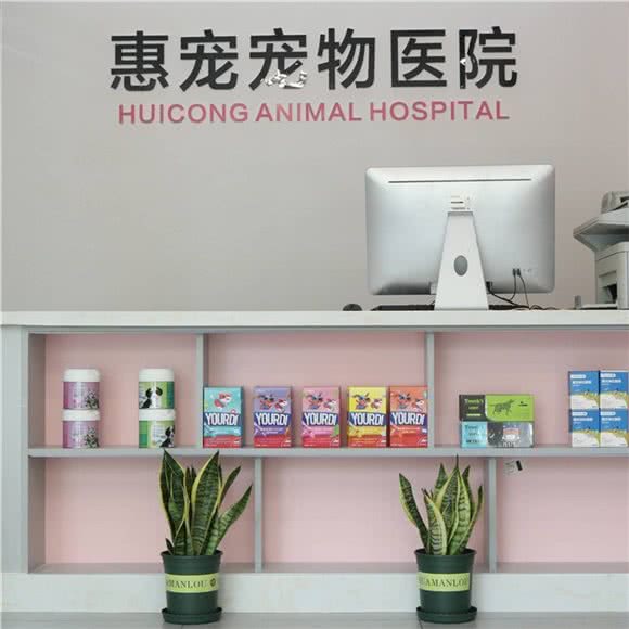 惠宠宠物医院