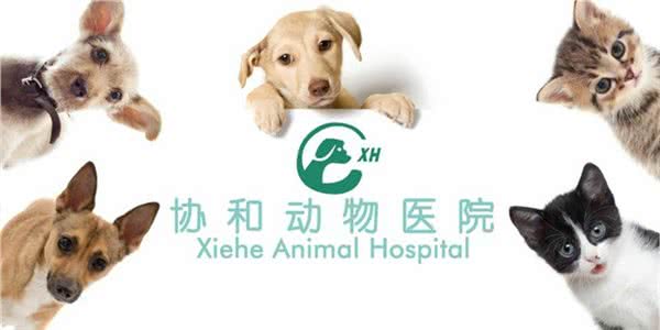 24H协和动物医院(鲁能星城店)