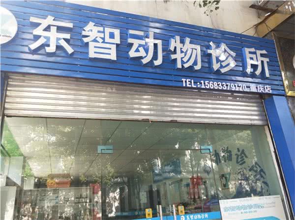东智动物诊所