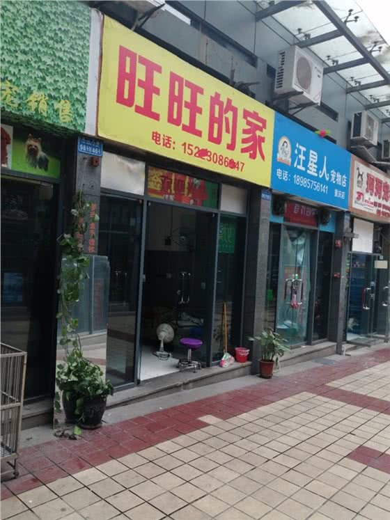 旺旺的家