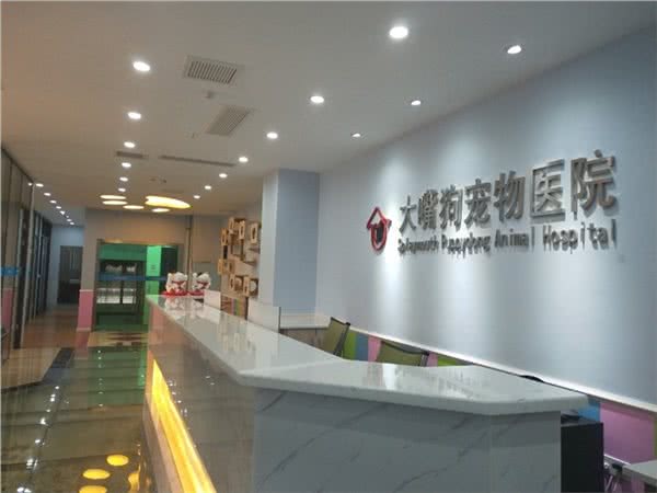 24小时大嘴狗宠物医院