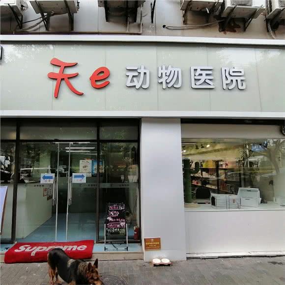 天e动物医院
