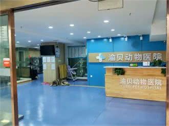 渝贝动物诊所