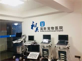 和美宠物医院