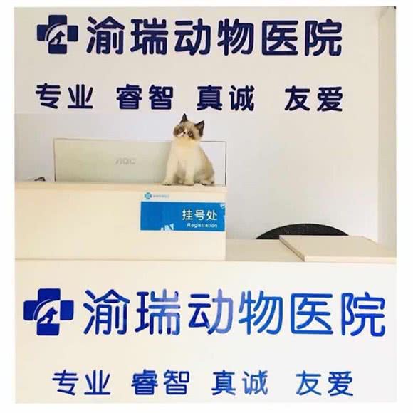 渝瑞动物医院