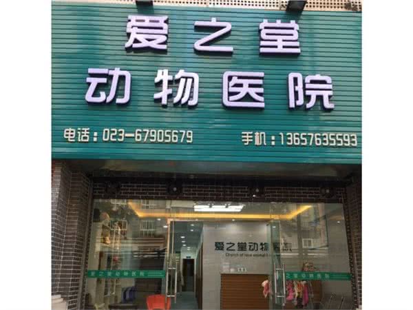 爱之堂动物医院 24小时医院