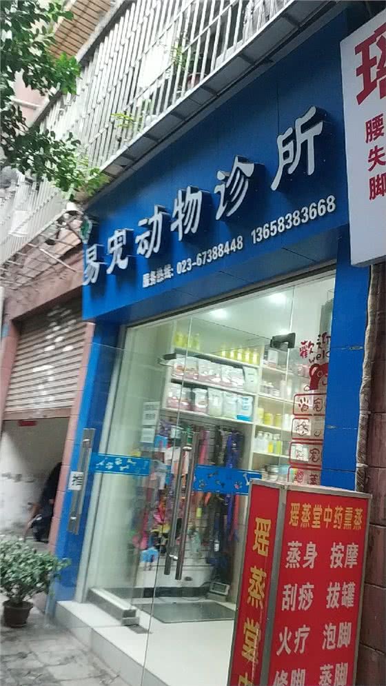 易宠动物诊所