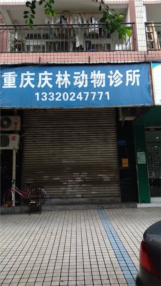 庆林动物诊所