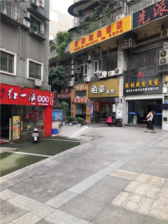 陶氏动物诊所