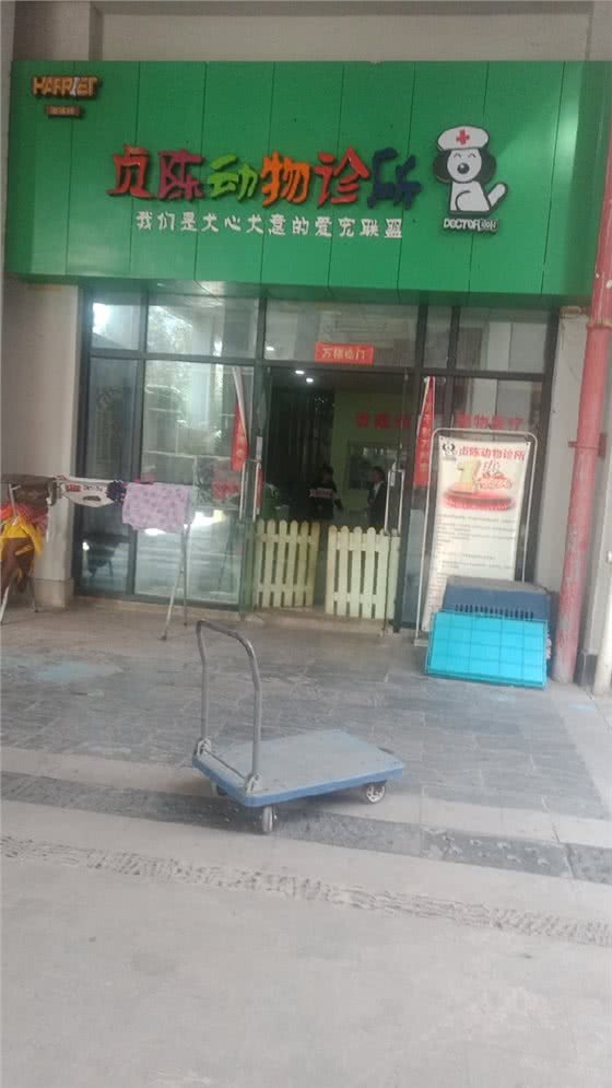 贞陈动物诊所(西政店)