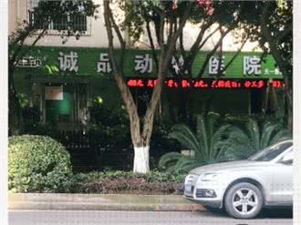 诚品动物医院(天一新城诊所)