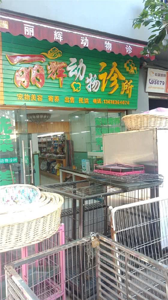 丽辉动物诊所