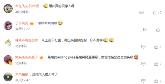 竟然被一只小狗鄙视了，这高傲的眼神学不来
