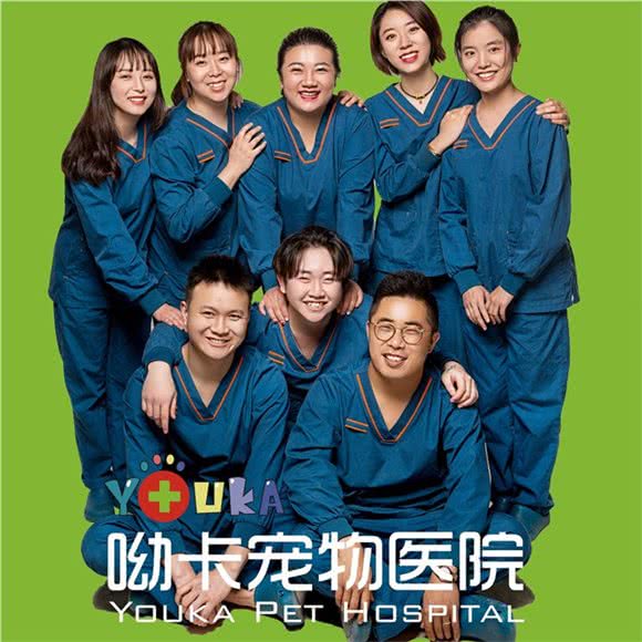 亚宠宠医连锁·24小时呦卡宠物医院