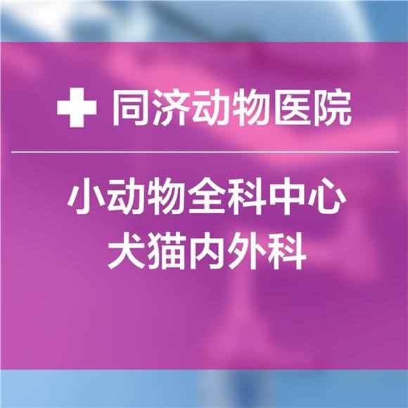 同济动物医院(杨家坪店)
