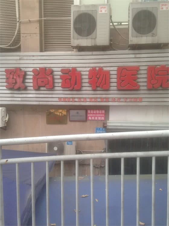 致尚动物医院