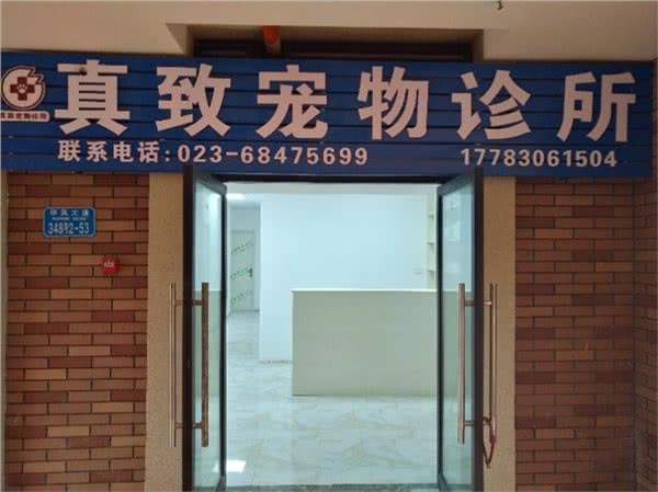 真致宠物诊所