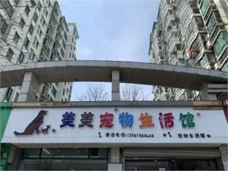 美美宠物生活馆