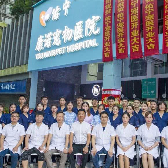 佑宁康诺宠物医院24小时