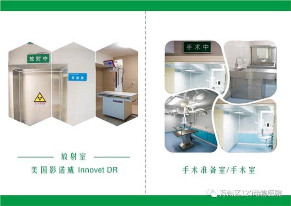 120动物医院
