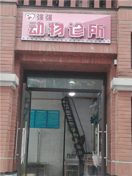 强强动物诊所