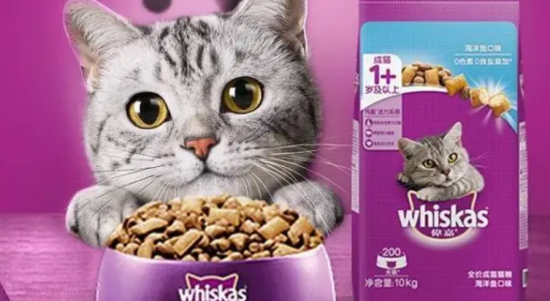 比较适合英短的猫粮品牌