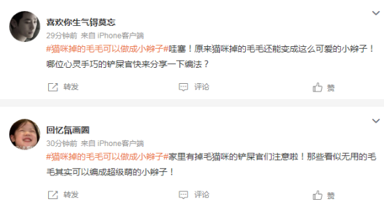 猫咪掉的毛毛可以做成小辫子，这也太可爱了
