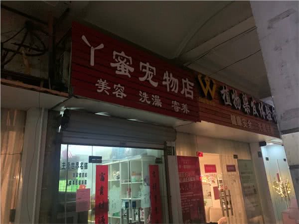 Y蜜宠物店