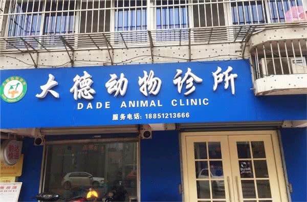 大德动物诊所