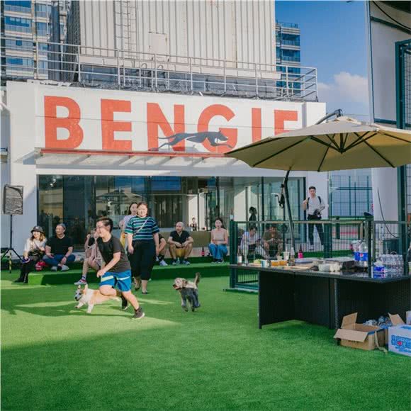 班吉宠物酒店&学校 BENGIE PET(真北店)