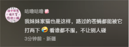这怕不是一只超雄小猫咪吧？网友：糟了身份被拆穿了