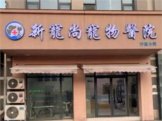 新宠尚宠物医院(沙溪分院)