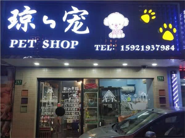 琼琼宠物·猫狗活体销售美容寄养(中环购宠店)