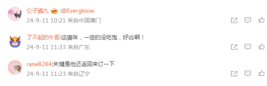 猫咪确诊为订书机，这是没吃饱？