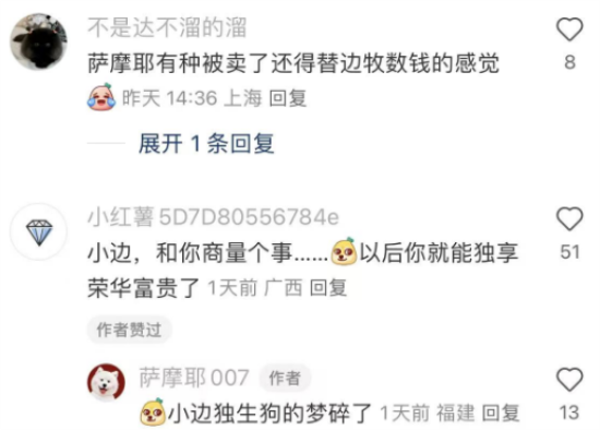 笑不活了！边牧：差点就是嫡长狗了