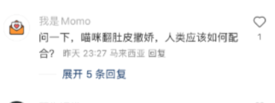 我家猫因为太爱撒娇撒进了医院