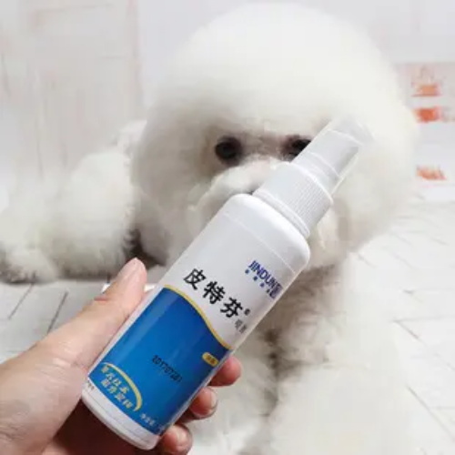 狗身上有皮屑应该怎么治疗