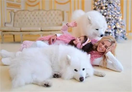 如何为两个月大的萨摩耶幼犬选择合适的狗粮？