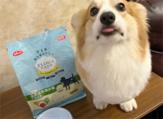 如何获得粉色柯基狗粮呢