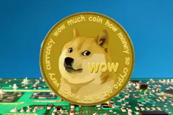 柴狗图片什么意思