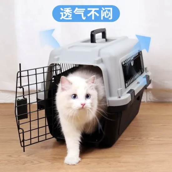 猫杯状病毒有什么特点 