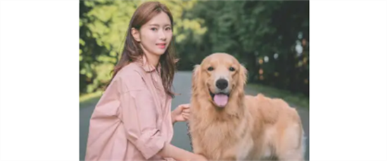 金毛能吃什么蔬菜好？