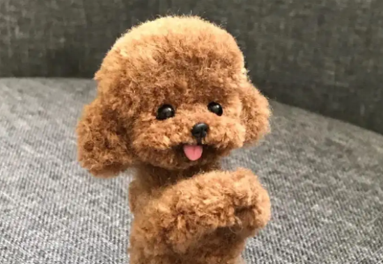 泰迪几斤算小体